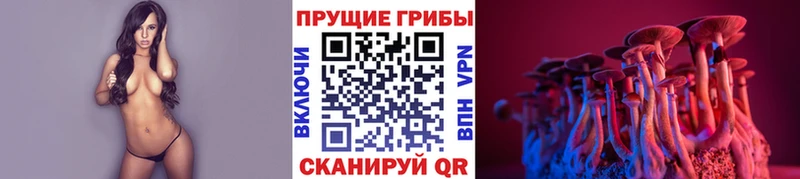 Псилоцибиновые грибы Magic Shrooms  где найти   blacksprut ссылки  Олонец 